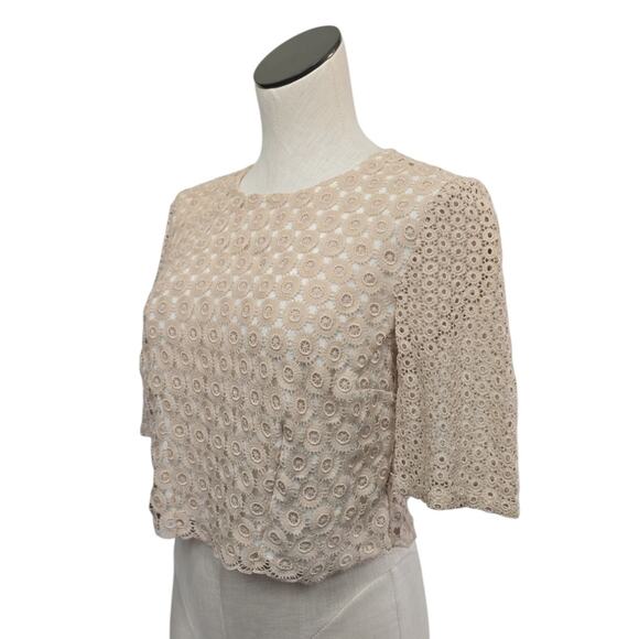 ALC Lace Crop Top Short Sleeve Womens Size Medium Sheer Neutral Bohemian Lace - Picture 5 of 9